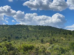 2020-05-16 Passeio TT - SERRA AGUIEIRA